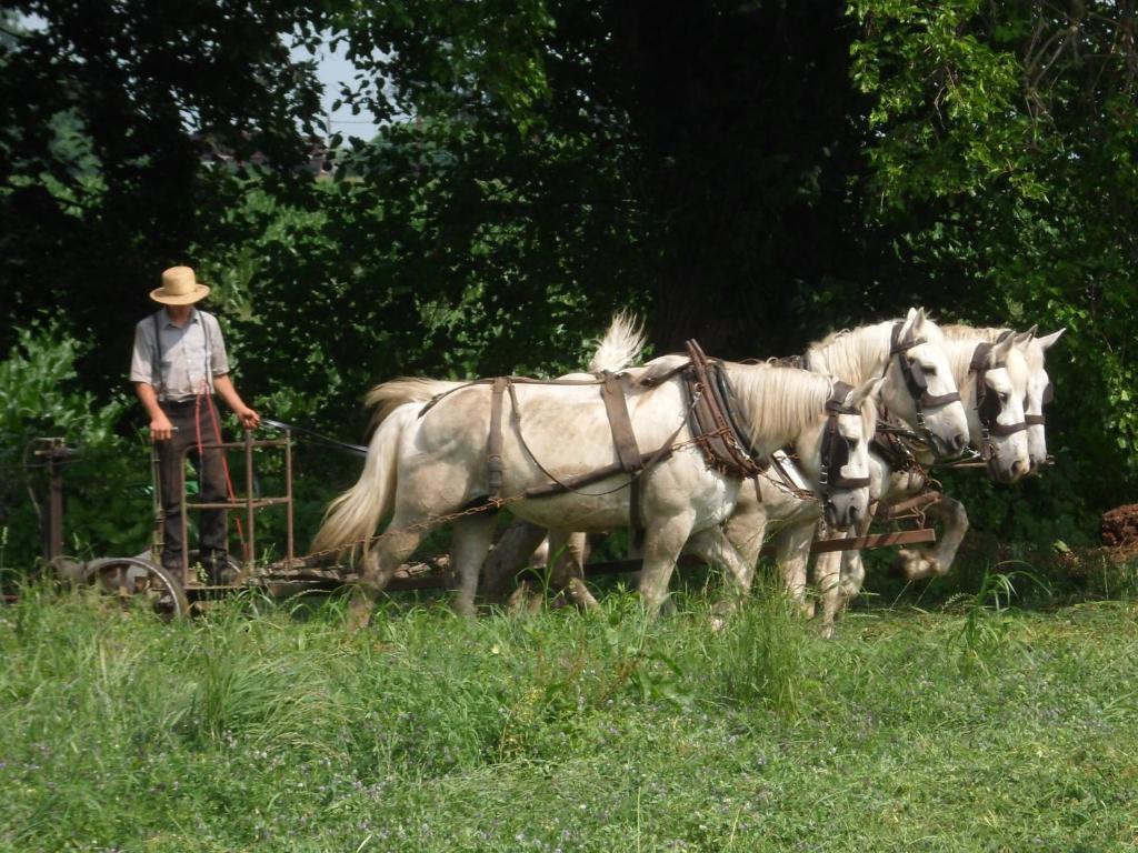 Cherry Lane Motor Inn Amish Country Ronks Εξωτερικό φωτογραφία